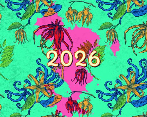 cesem_Voeux_2026_07_Final